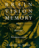 Brain__vision__memory