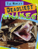 The_world_s_deadliest_snakes