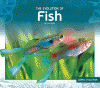 Evolution_of_fish
